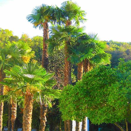 Villa Garni Gardenia Caslano Luaran gambar