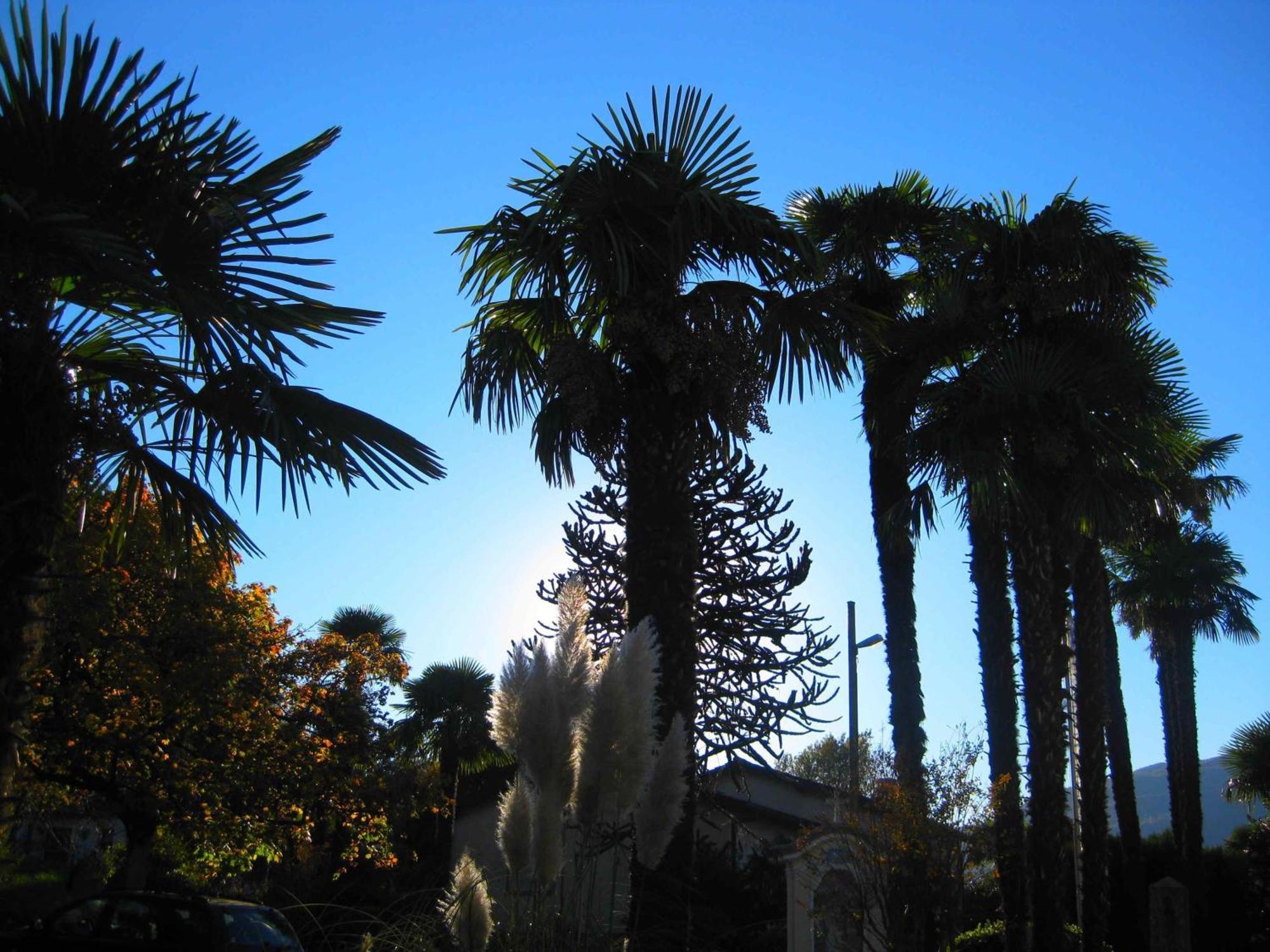 Villa Garni Gardenia Caslano Luaran gambar